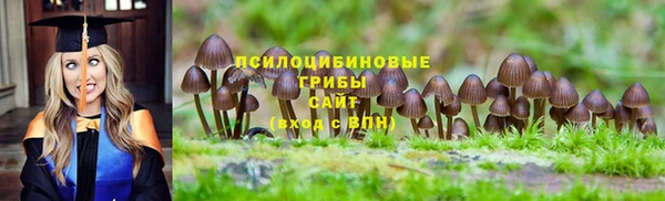 первитин Медвежьегорск