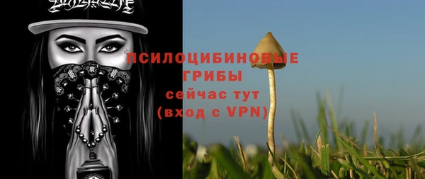 первитин Медвежьегорск