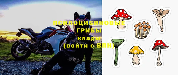 первитин Медвежьегорск