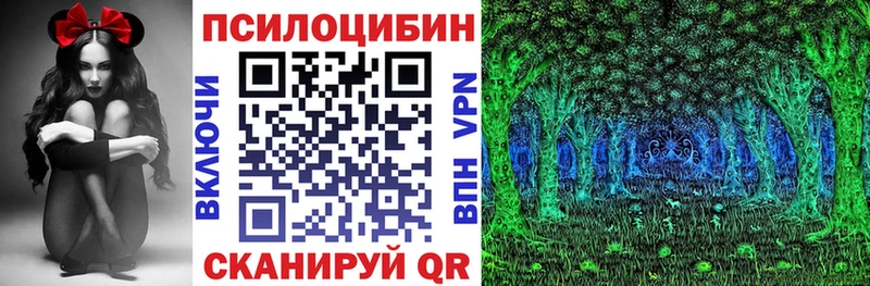 где купить   даркнет какой сайт  Галлюциногенные грибы GOLDEN TEACHER  Петровск-Забайкальский 
